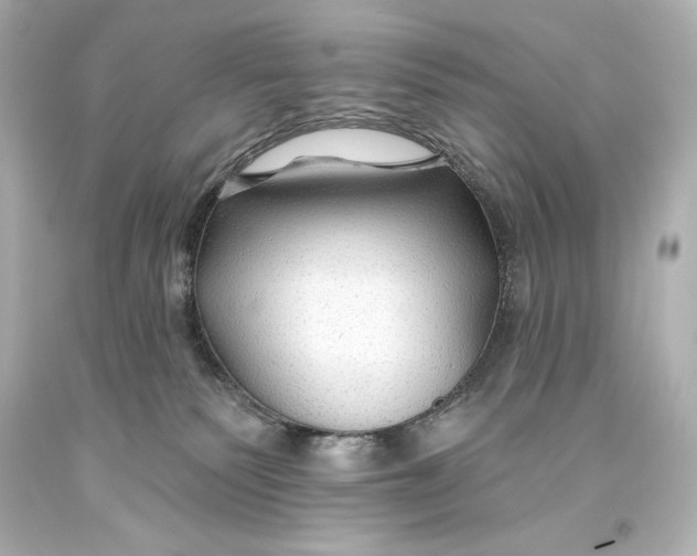 X0000093470135200711021241