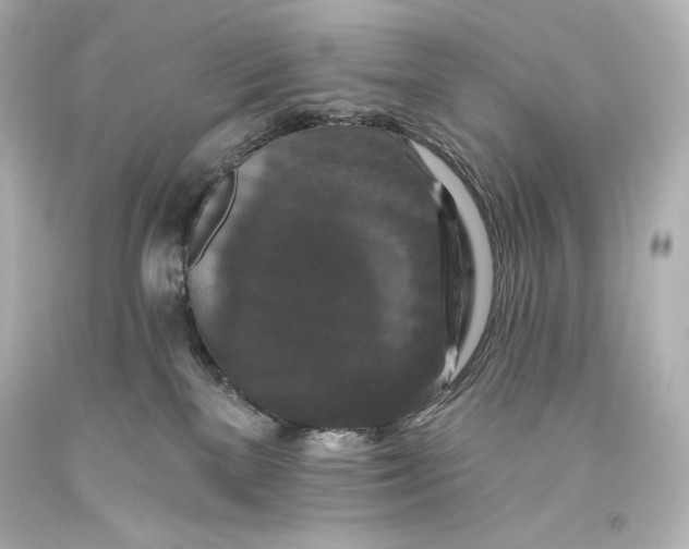 X0000093470137200711021241