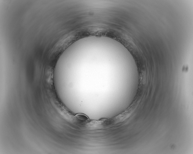 X0000093470138200711021241