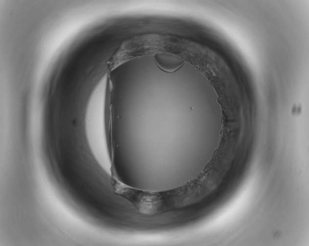 X0000093470143200711021241