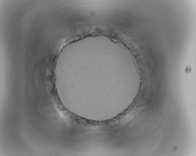 X0000093470144200711021241