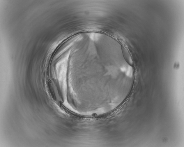 X0000093470145200711021240