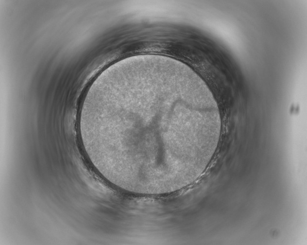 X0000093470146200711021240