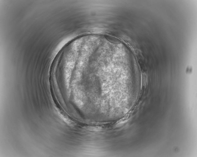 X0000093470147200711021240