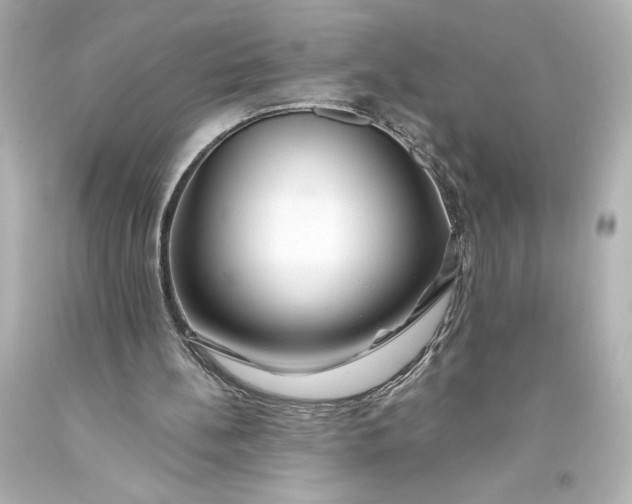 X0000093470148200711021240