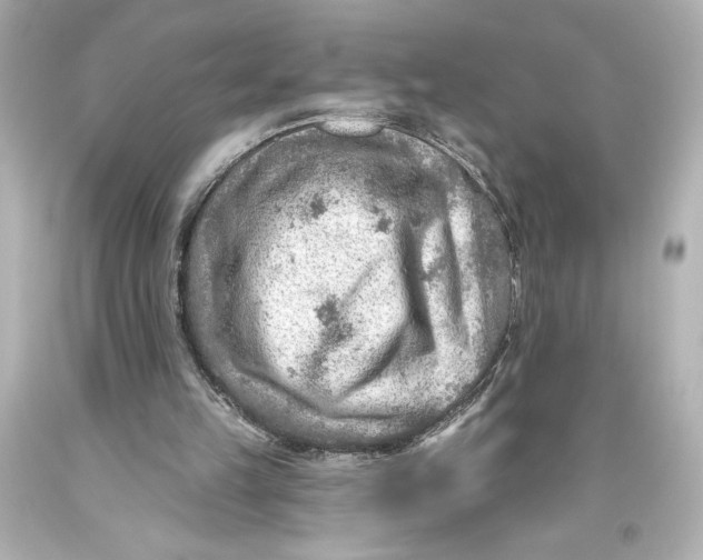 X0000093470149200711021240