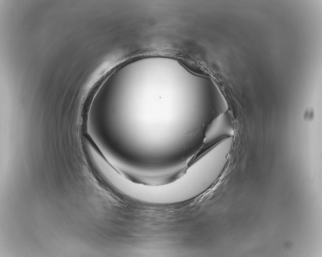 X0000093470150200711021240