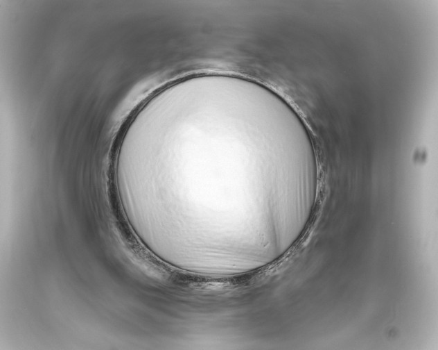 X0000093470151200711021240