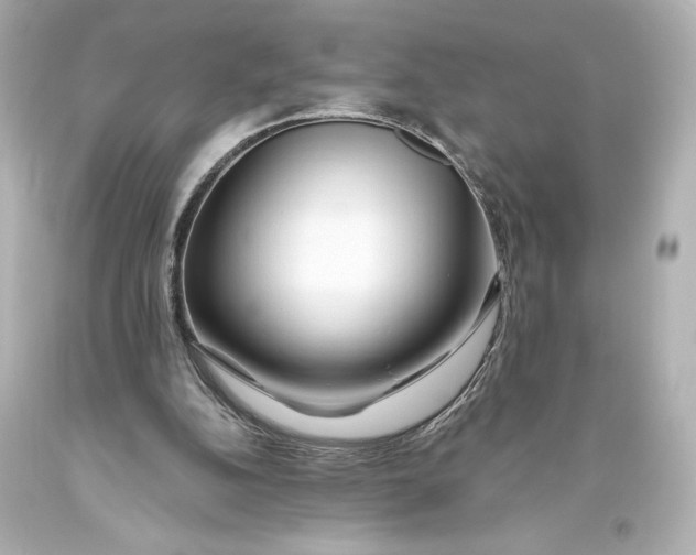 X0000093470152200711021240