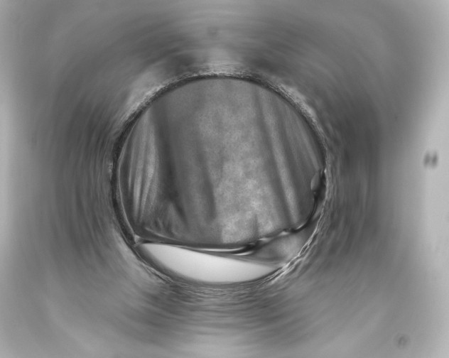 X0000093470154200711021241