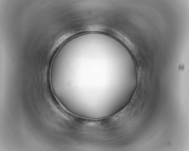 X0000093470155200711021241