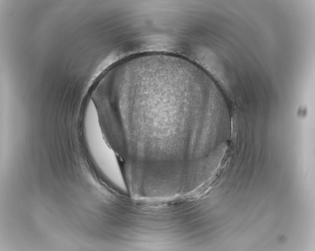 X0000093470156200711021241