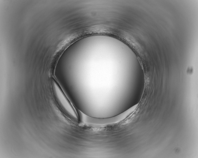 X0000093470158200711021241