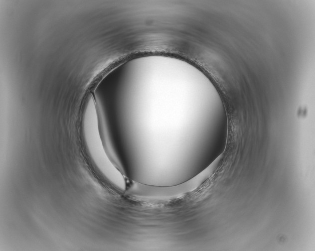 X0000093470160200711021241