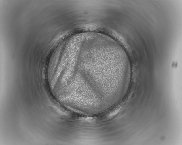 X0000093470161200711021241