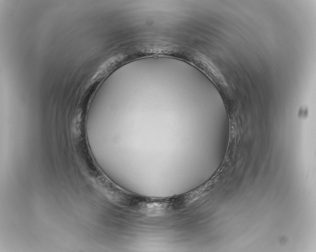 X0000093470163200711021241