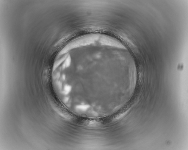 X0000093470165200711021241