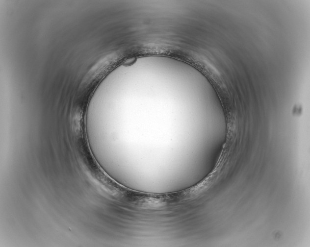 X0000093470166200711021241