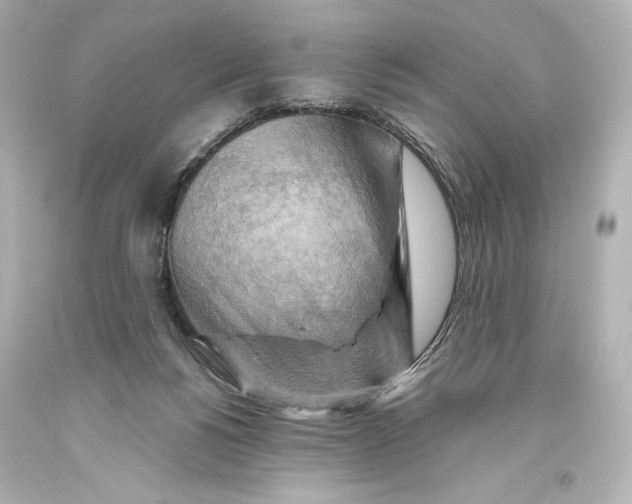 X0000093470168200711021241