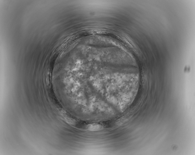 X0000093470169200711021241