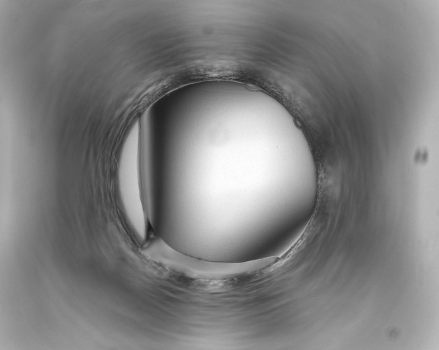 X0000093470170200711021241