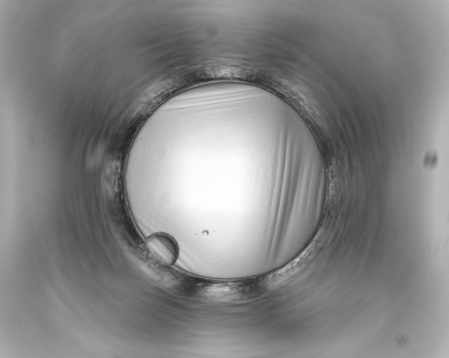 X0000093470171200711021241