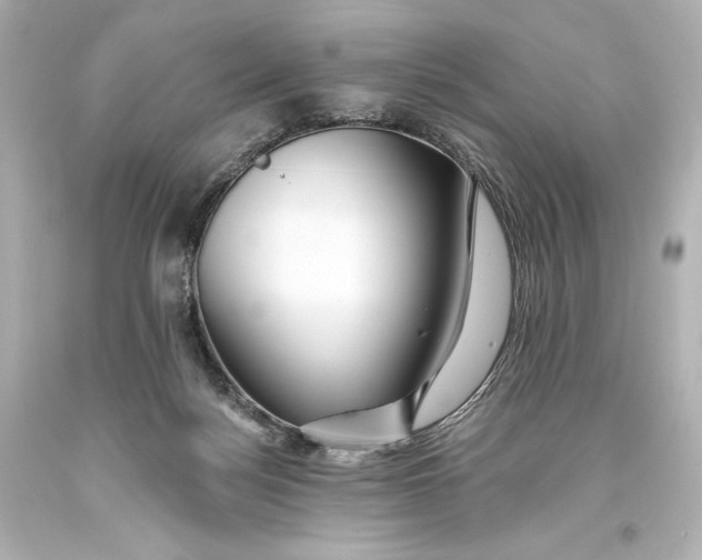 X0000093470172200711021241