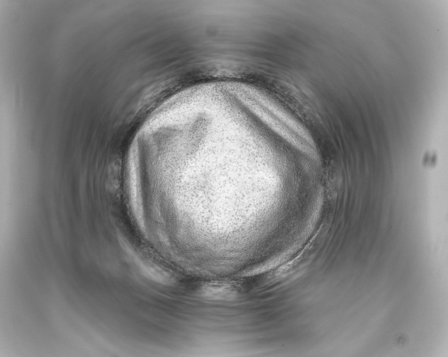 X0000093470175200711021241