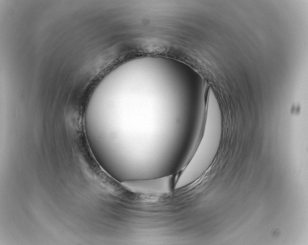 X0000093470176200711021241