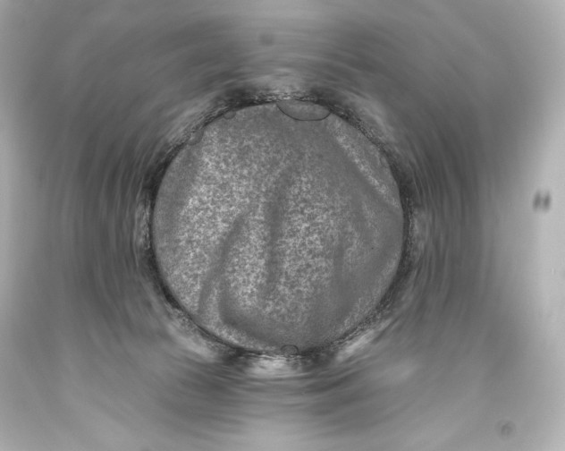 X0000093470177200711021241