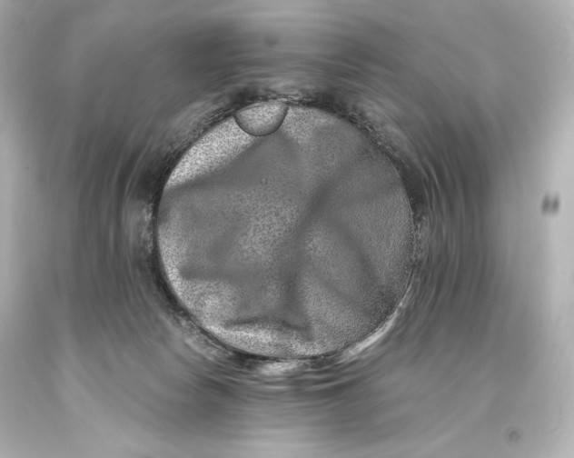 X0000093470178200711021241