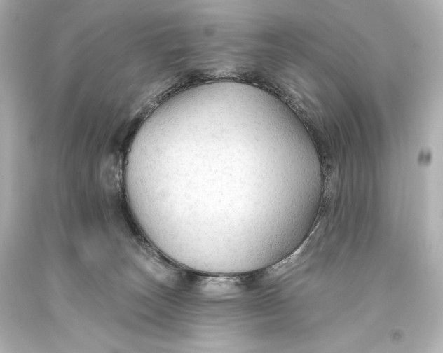 X0000093470179200711021241