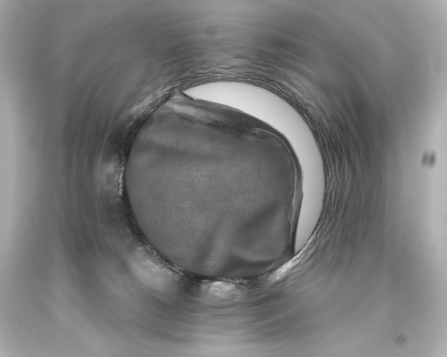 X0000093470180200711021241