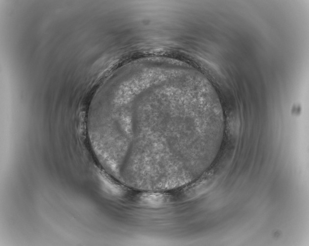 X0000093470181200711021241