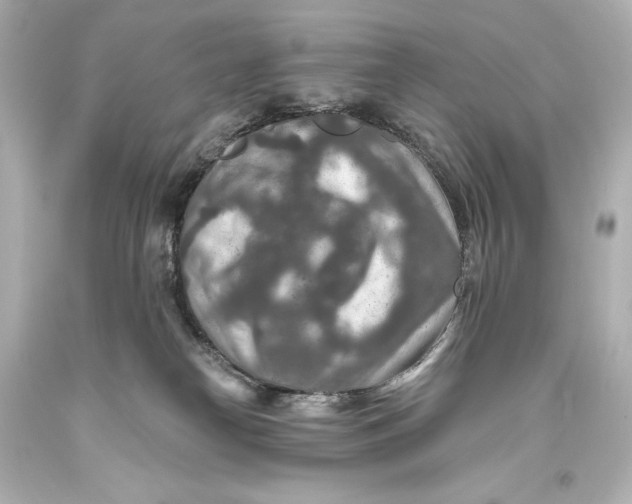 X0000093470182200711021241