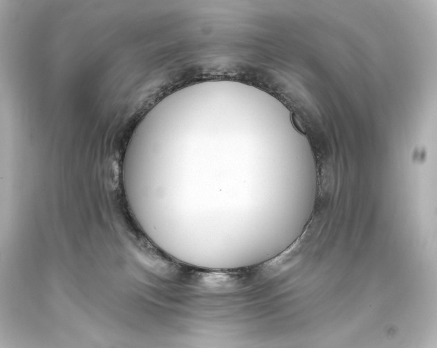 X0000093470183200711021241