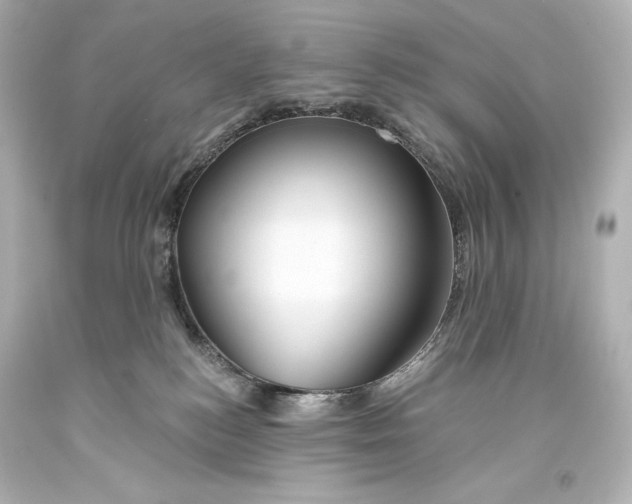 X0000093470184200711021241