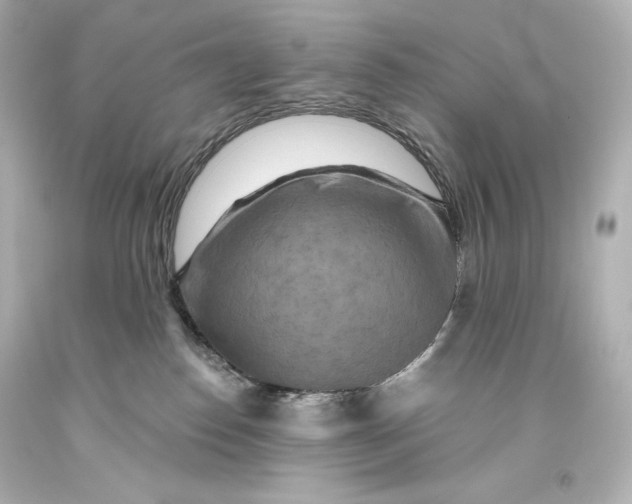 X0000093470186200711021241