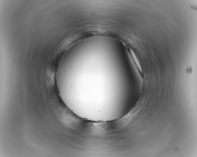 X0000093470188200711021241