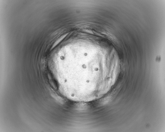 X0000093470189200711021241