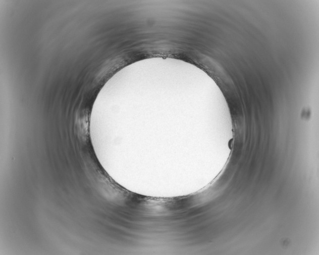 X0000093470190200711021241