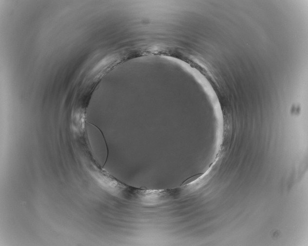 X0000093470191200711021241