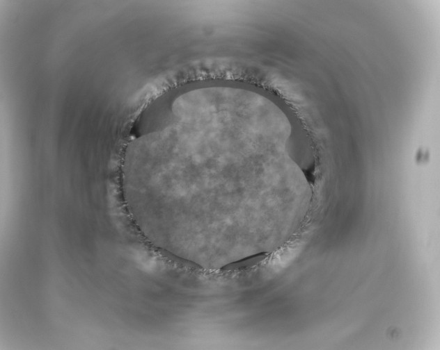 X0000093470192200711021241