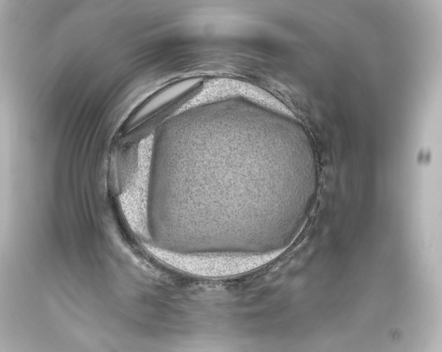 X0000093470194200711021240