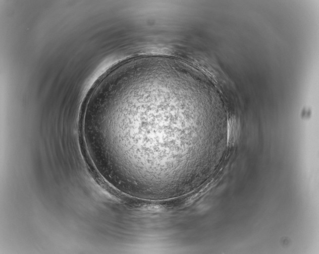 X0000093470195200711021240