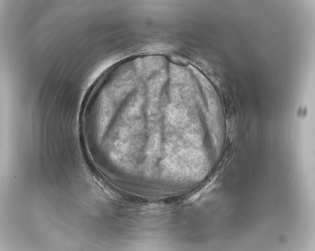 X0000093470196200711021240