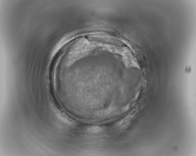 X0000093470198200711021240