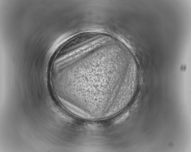 X0000093470199200711021240