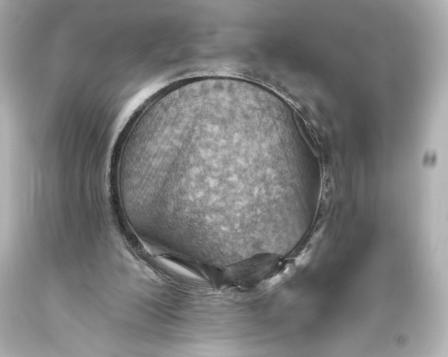 X0000093470200200711021240