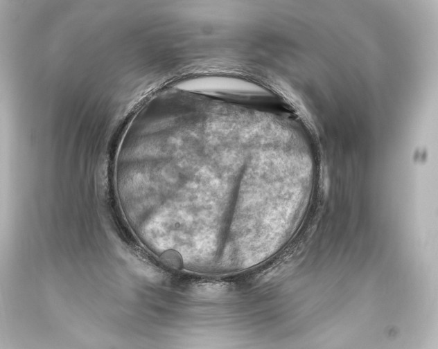 X0000093470202200711021240